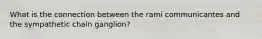 What is the connection between the rami communicantes and the sympathetic chain ganglion?
