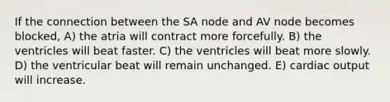 If the connection between the SA node and AV node becomes blocked, A) the atria will contract more forcefully. B) the ventricles will beat faster. C) the ventricles will beat more slowly. D) the ventricular beat will remain unchanged. E) <a href='https://www.questionai.com/knowledge/kyxUJGvw35-cardiac-output' class='anchor-knowledge'>cardiac output</a> will increase.