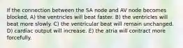 If the connection between the SA node and AV node becomes blocked, A) the ventricles will beat faster. B) the ventricles will beat more slowly. C) the ventricular beat will remain unchanged. D) cardiac output will increase. E) the atria will contract more forcefully.