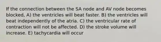 If the connection between the SA node and AV node becomes blocked, A) the ventricles will beat faster. B) the ventricles will beat independently of the atria. C) the ventricular rate of contraction will not be affected. D) the stroke volume will increase. E) tachycardia will occur