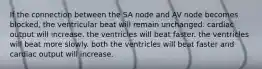 If the connection between the SA node and AV node becomes blocked, the ventricular beat will remain unchanged. cardiac output will increase. the ventricles will beat faster. the ventricles will beat more slowly. both the ventricles will beat faster and cardiac output will increase.