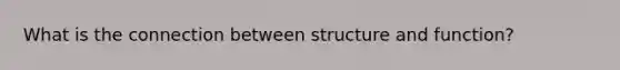 What is the connection between structure and function?