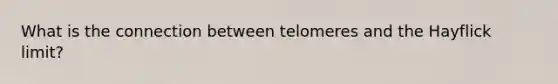 What is the connection between telomeres and the Hayflick limit?