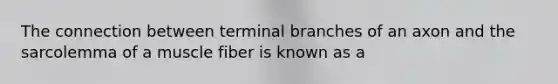 The connection between terminal branches of an axon and the sarcolemma of a muscle fiber is known as a