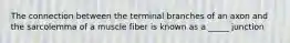 The connection between the terminal branches of an axon and the sarcolemma of a muscle fiber is known as a _____ junction