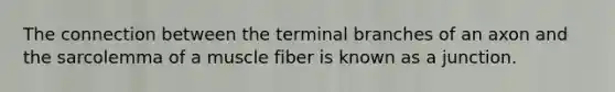 The connection between the terminal branches of an axon and the sarcolemma of a muscle fiber is known as a junction.