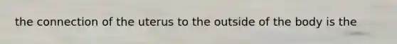 the connection of the uterus to the outside of the body is the