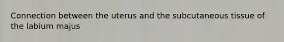 Connection between the uterus and the subcutaneous tissue of the labium majus