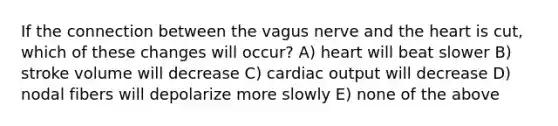 If the connection between the vagus nerve and the heart is cut, which of these changes will occur? A) heart will beat slower B) stroke volume will decrease C) cardiac output will decrease D) nodal fibers will depolarize more slowly E) none of the above