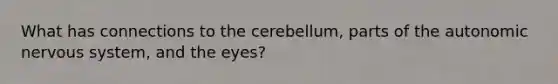 What has connections to the cerebellum, parts of the autonomic nervous system, and the eyes?