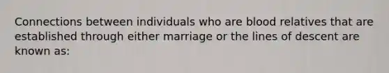 Connections between individuals who are blood relatives that are established through either marriage or the lines of descent are known as: