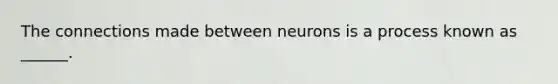 The connections made between neurons is a process known as ______.