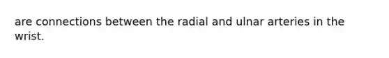 are connections between the radial and ulnar arteries in the wrist.