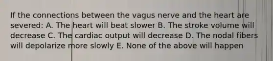 If the connections between the vagus nerve and the heart are severed: A. The heart will beat slower B. The stroke volume will decrease C. The cardiac output will decrease D. The nodal fibers will depolarize more slowly E. None of the above will happen