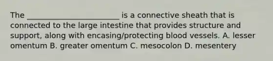 The ________________________ is a connective sheath that is connected to the large intestine that provides structure and support, along with encasing/protecting blood vessels. A. lesser omentum B. greater omentum C. mesocolon D. mesentery