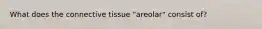 What does the connective tissue "areolar" consist of?