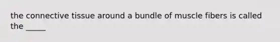 the connective tissue around a bundle of muscle fibers is called the _____