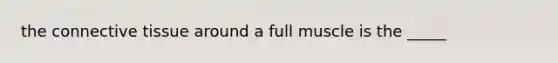 the connective tissue around a full muscle is the _____