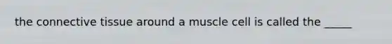 the connective tissue around a muscle cell is called the _____