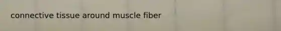 connective tissue around muscle fiber