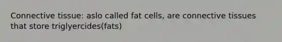 Connective tissue: aslo called fat cells, are connective tissues that store triglyercides(fats)