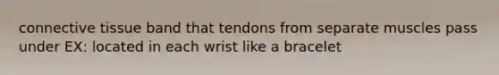 connective tissue band that tendons from separate muscles pass under EX: located in each wrist like a bracelet