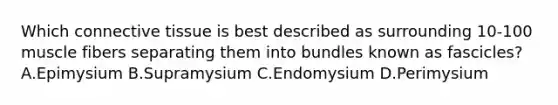 Which connective tissue is best described as surrounding 10-100 muscle fibers separating them into bundles known as fascicles? A.Epimysium B.Supramysium C.Endomysium D.Perimysium