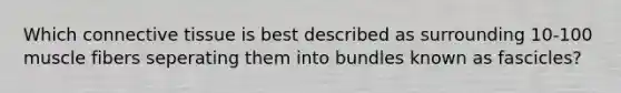 Which connective tissue is best described as surrounding 10-100 muscle fibers seperating them into bundles known as fascicles?