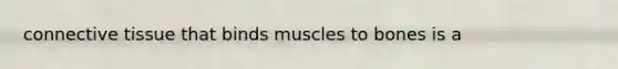 connective tissue that binds muscles to bones is a