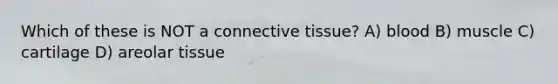 Which of these is NOT a <a href='https://www.questionai.com/knowledge/kYDr0DHyc8-connective-tissue' class='anchor-knowledge'>connective tissue</a>? A) blood B) muscle C) cartilage D) areolar tissue