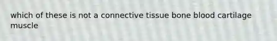 which of these is not a connective tissue bone blood cartilage muscle