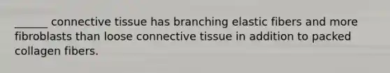 ______ connective tissue has branching elastic fibers and more fibroblasts than loose connective tissue in addition to packed collagen fibers.