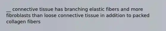 __ connective tissue has branching elastic fibers and more fibroblasts than loose connective tissue in addition to packed collagen fibers