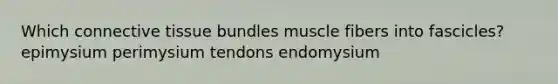 Which connective tissue bundles muscle fibers into fascicles? epimysium perimysium tendons endomysium