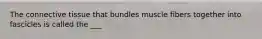 The connective tissue that bundles muscle fibers together into fascicles is called the ___