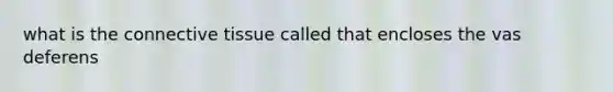 what is the connective tissue called that encloses the vas deferens
