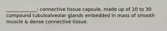 _____________: <a href='https://www.questionai.com/knowledge/kYDr0DHyc8-connective-tissue' class='anchor-knowledge'>connective tissue</a> capsule, made up of 20 to 30 compound tubuloalveolar glands embedded in mass of smooth muscle & dense connective tissue.