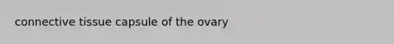 <a href='https://www.questionai.com/knowledge/kYDr0DHyc8-connective-tissue' class='anchor-knowledge'>connective tissue</a> capsule of the ovary