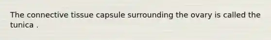 The connective tissue capsule surrounding the ovary is called the tunica .
