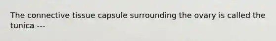 The connective tissue capsule surrounding the ovary is called the tunica ---