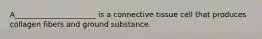 A______________________ is a connective tissue cell that produces collagen fibers and ground substance.