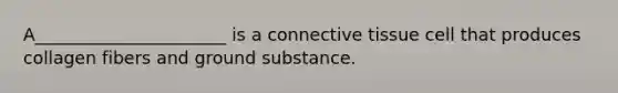 A______________________ is a <a href='https://www.questionai.com/knowledge/kYDr0DHyc8-connective-tissue' class='anchor-knowledge'>connective tissue</a> cell that produces collagen fibers and ground substance.