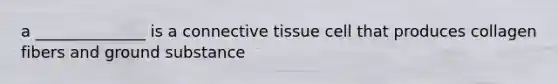 a ______________ is a connective tissue cell that produces collagen fibers and ground substance