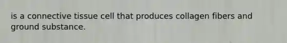is a connective tissue cell that produces collagen fibers and ground substance.