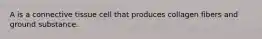 A is a connective tissue cell that produces collagen fibers and ground substance.