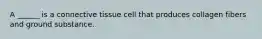 A ______ is a connective tissue cell that produces collagen fibers and ground substance.