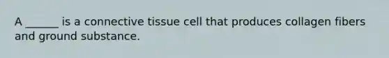 A ______ is a connective tissue cell that produces collagen fibers and ground substance.