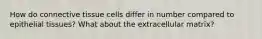 How do connective tissue cells differ in number compared to epithelial tissues? What about the extracellular matrix?