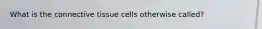 What is the connective tissue cells otherwise called?