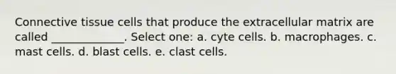 Connective tissue cells that produce the extracellular matrix are called _____________. Select one: a. cyte cells. b. macrophages. c. mast cells. d. blast cells. e. clast cells.